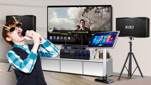 炫寶迪點歌機哪款型號更優？音質效果與評測全面解析